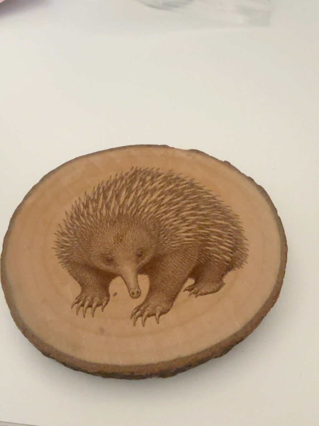 Echidna engraved natural wood round