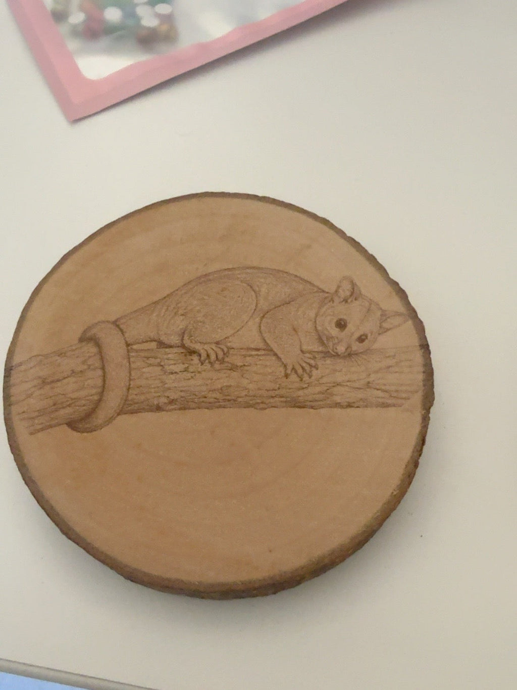 Possum engraved natural wood round