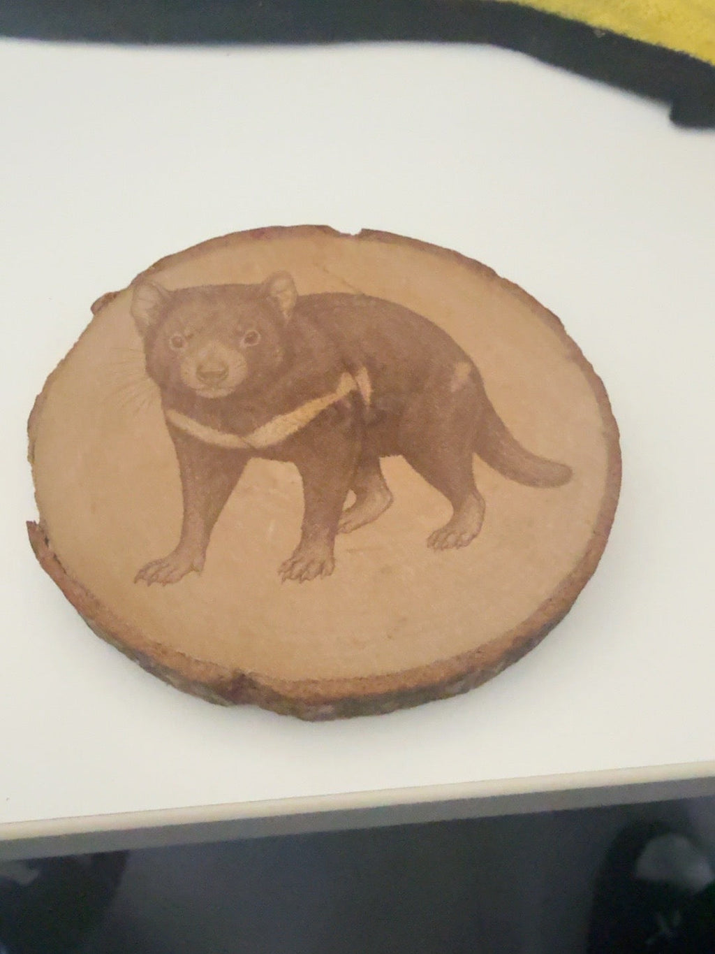 Tasmanian devil engraved natural wood round
