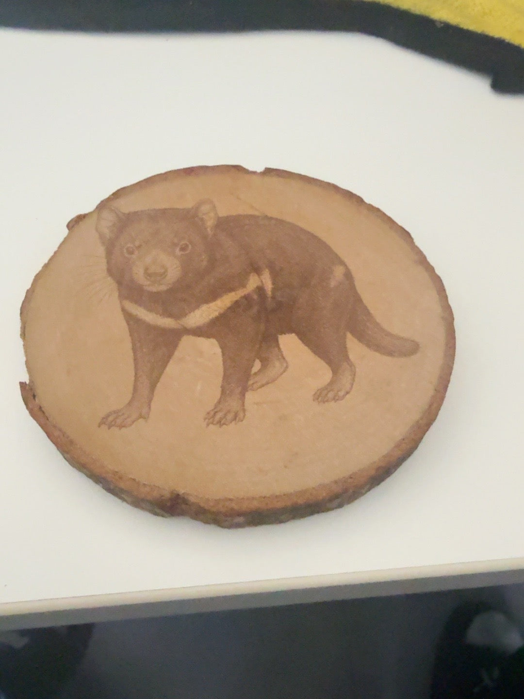 Tasmanian devil engraved natural wood round